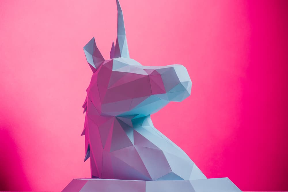 Unicorn Start Ups